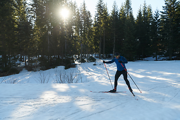 Image showing Nordic skiing or Cross-country skiing classic technique practiced by man in a beautiful panoramic trail at morning.Selective focus.