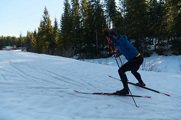 Image showing Nordic skiing or Cross-country skiing classic technique practiced by man in a beautiful panoramic trail at morning.Selective focus.