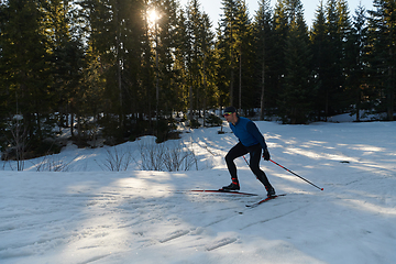 Image showing Nordic skiing or Cross-country skiing classic technique practiced by man in a beautiful panoramic trail at morning.Selective focus.