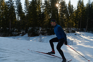 Image showing Nordic skiing or Cross-country skiing classic technique practiced by man in a beautiful panoramic trail at morning.Selective focus.