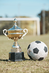 Image showing Success, field and football and trophy for sports, game award and achievement in contest. Fitness, grass and prize or reward for soccer competition, championship or celebration of a goal at a stadium