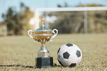 Image showing Win, field and football and trophy for sports, game award and achievement in a contest. Fitness, grass and a prize or reward for soccer competition, championship or celebration of a goal at a stadium