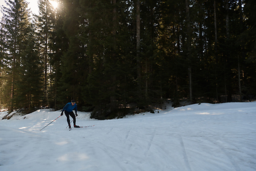 Image showing Nordic skiing or Cross-country skiing classic technique practiced by man in a beautiful panoramic trail at morning.Selective focus.