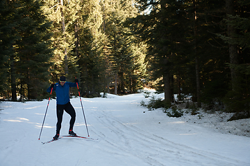 Image showing Nordic skiing or Cross-country skiing classic technique practiced by man in a beautiful panoramic trail at morning.Selective focus.