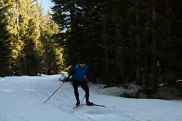 Image showing Nordic skiing or Cross-country skiing classic technique practiced by man in a beautiful panoramic trail at morning.Selective focus.