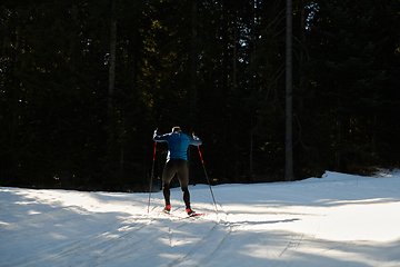 Image showing Nordic skiing or Cross-country skiing classic technique practiced by man in a beautiful panoramic trail at morning.Selective focus.