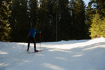 Image showing Nordic skiing or Cross-country skiing classic technique practiced by man in a beautiful panoramic trail at morning.Selective focus.