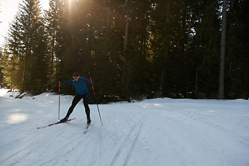 Image showing Nordic skiing or Cross-country skiing classic technique practiced by man in a beautiful panoramic trail at morning.Selective focus.