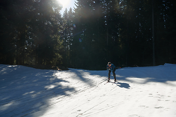 Image showing Nordic skiing or Cross-country skiing classic technique practiced by man in a beautiful panoramic trail at morning.Selective focus.