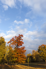 Image showing autumn season