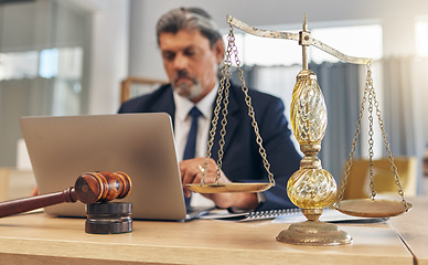 Image showing Scales, gavel and man in office with laptop at law firm, online research for court advice and senior lawyer at desk. Judge, attorney or legal consultant job with justice, computer and internet search