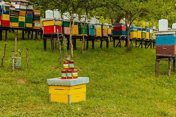 Image showing Natural honey products photographed at a honey farm. Pollen, honey and various honey products