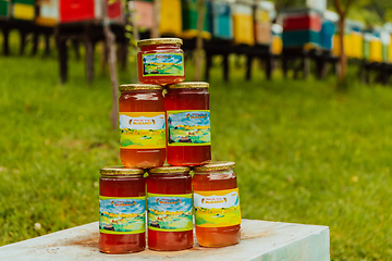 Image showing Natural honey products photographed at a honey farm. Pollen, honey and various honey products