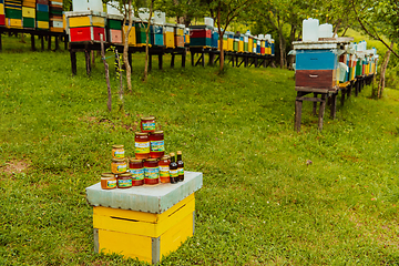 Image showing Natural honey products photographed at a honey farm. Pollen, honey and various honey products