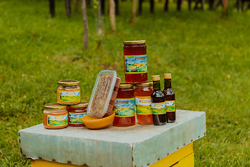 Image showing Natural honey products photographed at a honey farm. Pollen, honey and various honey products