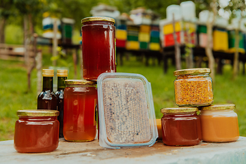 Image showing Natural honey products photographed at a honey farm. Pollen, honey and various honey products