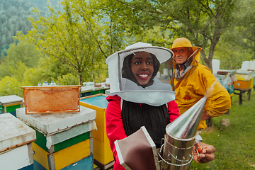 Image showing Arab investitor with an experienced senior beekeeper checking the quality and production of honey at a large bee farm