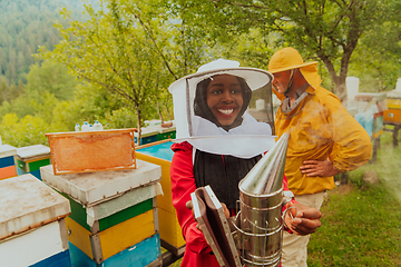 Image showing Arab investitor with an experienced senior beekeeper checking the quality and production of honey at a large bee farm