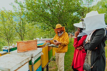 Image showing Business partners with an experienced senior beekeeper checking the quality and production of honey at a large bee farm