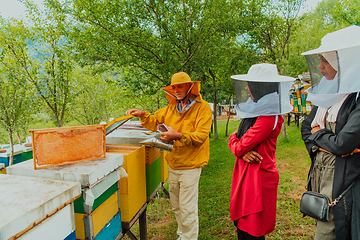 Image showing Business partners with an experienced senior beekeeper checking the quality and production of honey at a large bee farm