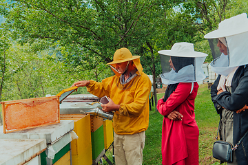 Image showing Business partners with an experienced senior beekeeper checking the quality and production of honey at a large bee farm