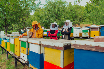 Image showing Business partners with an experienced senior beekeeper checking the quality and production of honey at a large bee farm