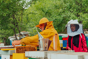 Image showing Business partners with an experienced senior beekeeper checking the quality and production of honey at a large bee farm