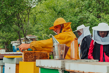 Image showing Business partners with an experienced senior beekeeper checking the quality and production of honey at a large bee farm