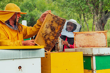 Image showing Business partners with an experienced senior beekeeper checking the quality and production of honey at a large bee farm