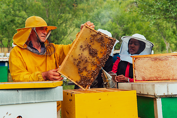 Image showing Business partners with an experienced senior beekeeper checking the quality and production of honey at a large bee farm