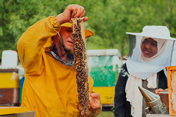 Image showing African American Muslim women with an experienced senior beekeeper checking the quality and production of honey at a large bee farm