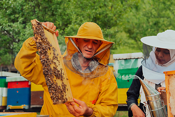 Image showing African American Muslim women with an experienced senior beekeeper checking the quality and production of honey at a large bee farm