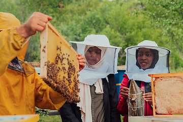 Image showing Business partners with an experienced senior beekeeper checking the quality and production of honey at a large bee farm