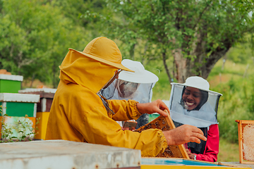 Image showing Business partners with an experienced senior beekeeper checking the quality and production of honey at a large bee farm