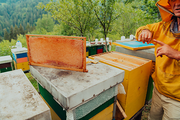 Image showing Senior beekeeper checking how the honey production is progressing. Photo of a beekeeper with a comb of honey