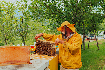 Image showing Senior beekeeper checking how the honey production is progressing. Photo of a beekeeper with a comb of honey