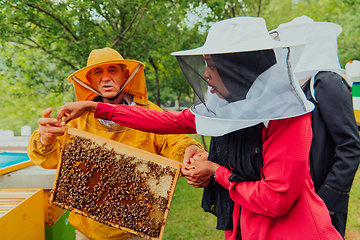 Image showing Business partners with an experienced senior beekeeper checking the quality and production of honey at a large bee farm