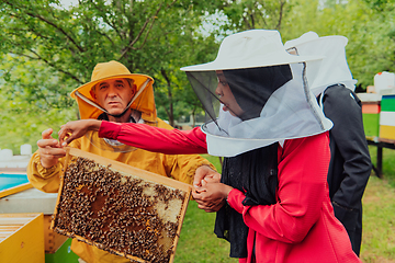 Image showing Business partners with an experienced senior beekeeper checking the quality and production of honey at a large bee farm