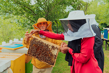 Image showing Business partners with an experienced senior beekeeper checking the quality and production of honey at a large bee farm