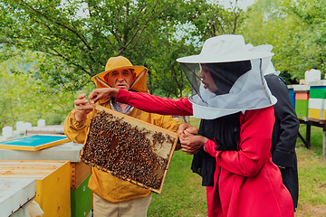 Image showing Business partners with an experienced senior beekeeper checking the quality and production of honey at a large bee farm