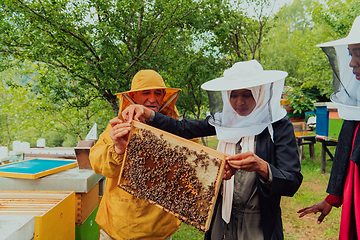 Image showing Business partners with an experienced senior beekeeper checking the quality and production of honey at a large bee farm