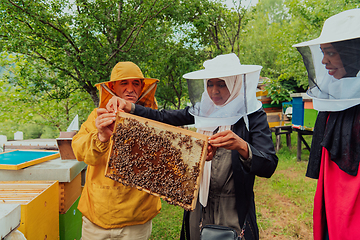 Image showing Business partners with an experienced senior beekeeper checking the quality and production of honey at a large bee farm