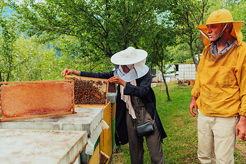 Image showing African American Muslim women with an experienced senior beekeeper checking the quality and production of honey at a large bee farm