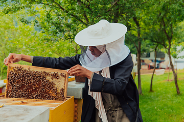 Image showing Hijab Arabian woman checking the quality of honey on the large bee farm in which she invested