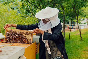 Image showing Hijab Arabian woman checking the quality of honey on the large bee farm in which she invested