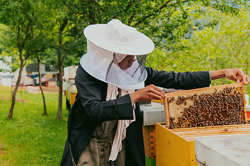 Image showing Hijab Arabian woman checking the quality of honey on the large bee farm in which she invested