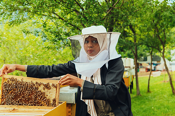 Image showing Hijab Arabian woman checking the quality of honey on the large bee farm in which she invested