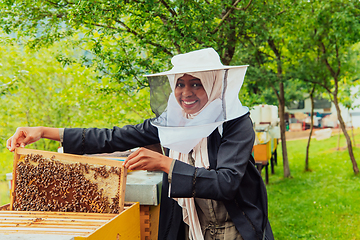 Image showing Hijab Arabian woman checking the quality of honey on the large bee farm in which she invested