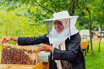 Image showing Hijab Arabian woman checking the quality of honey on the large bee farm in which she invested