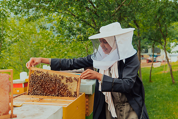 Image showing Hijab Arabian woman checking the quality of honey on the large bee farm in which she invested